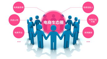 2017年國內電商的正確打開方式 轉型升級與精細化經營